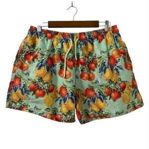 Posh Peanut Lucia Mens Swim Trunks XXL Fruit Print‎ Vacation Beach Resort Summer